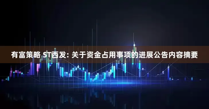 有富策略 ST西发: 关于资金占用事项的进展公告内容摘要